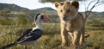 Filmanmeldelse: Løvernes konge – Dovne Disney underholder, men den nye version tilføjer intet nyt﻿