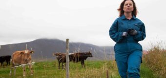 ﻿Filmanmeldelse: Mælkekrigen – Smuk og nuanceret islandsk fortælling