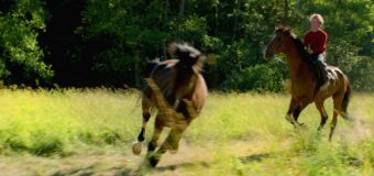 ﻿Filmanmeldelse: Ud og stjæle heste – Smukt norsk, coming of age drama
