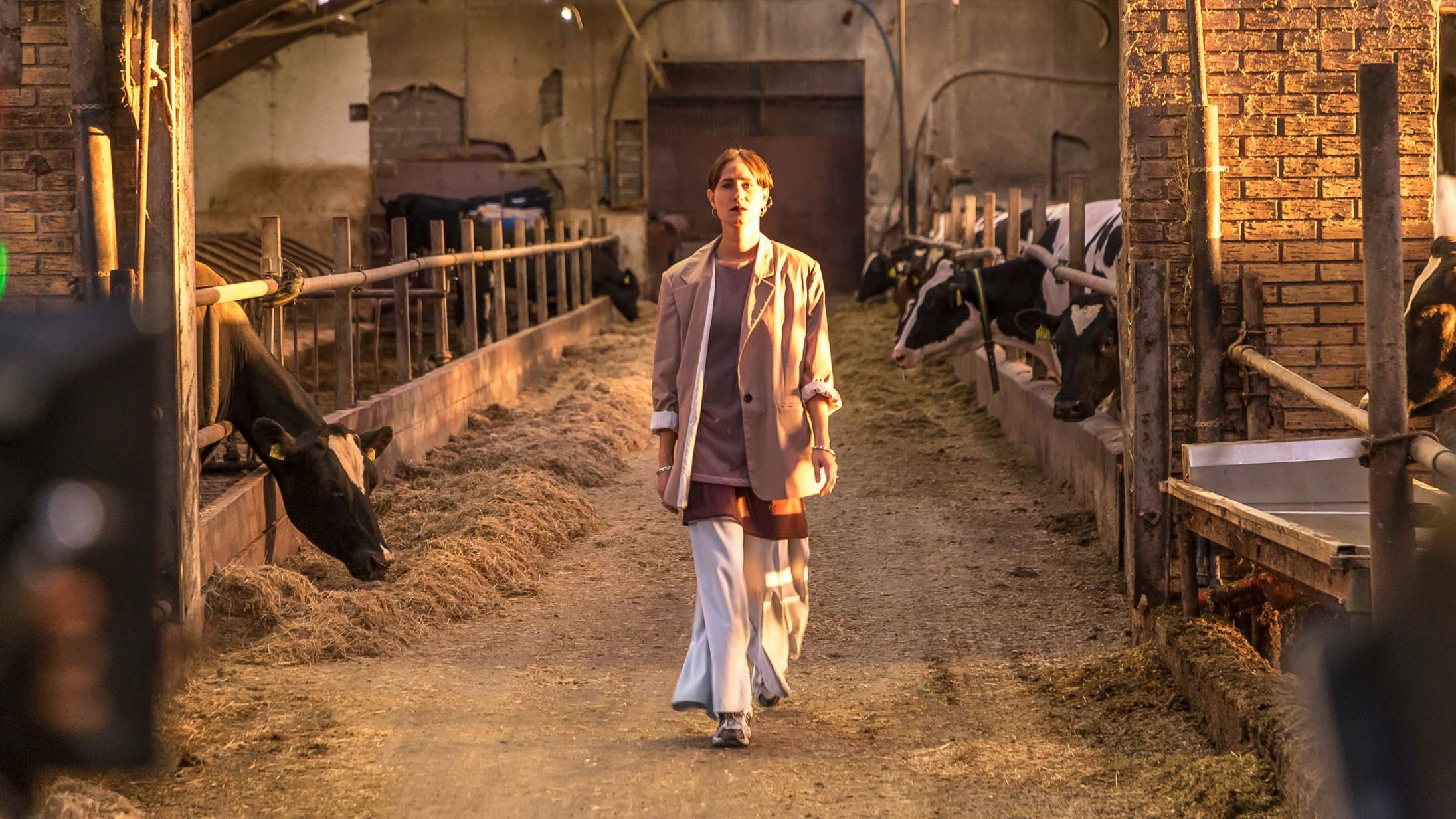 FILM: Hvor kragerne vender – Flot debutfilm om konflikten mellem land og by